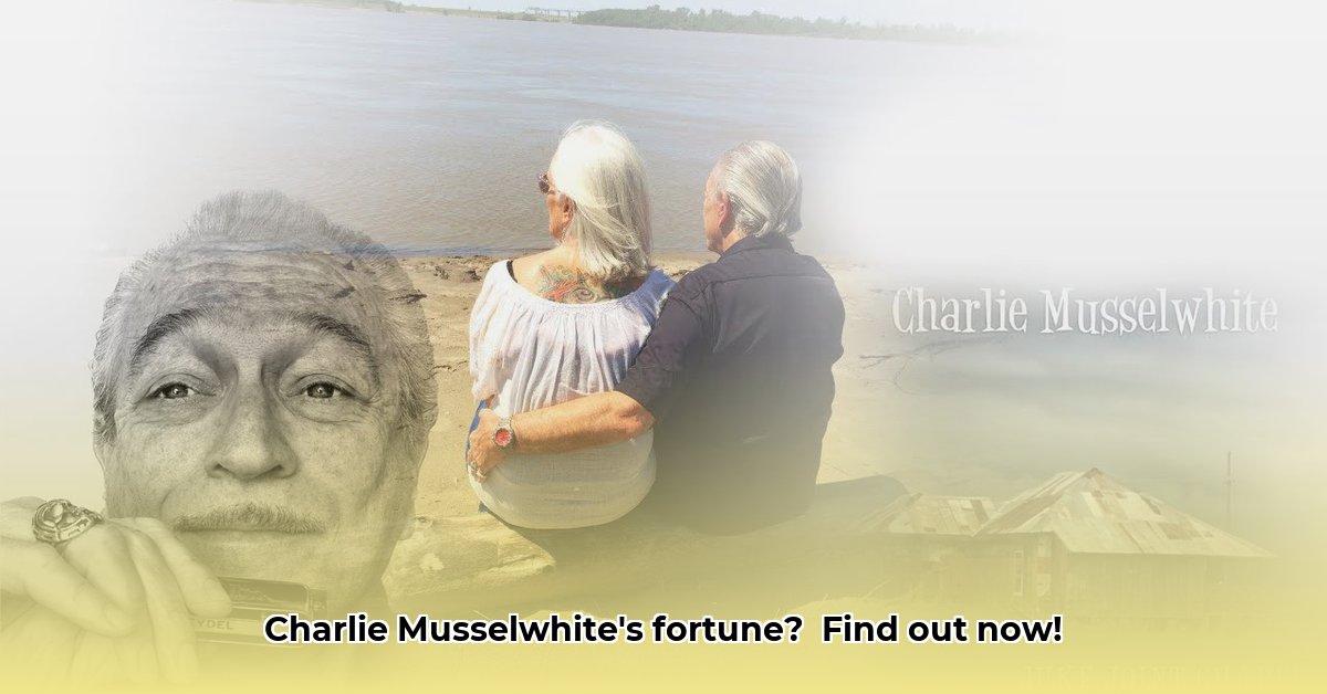 charlie-musselwhite-net-worth